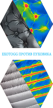 exotogg lab testing